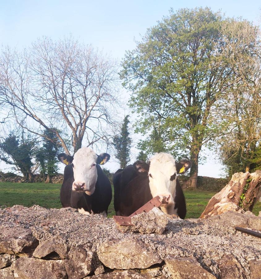 Bridgeview B&B Ennis Exteriér fotografie